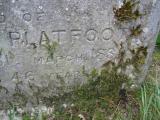 image of grave number 443523